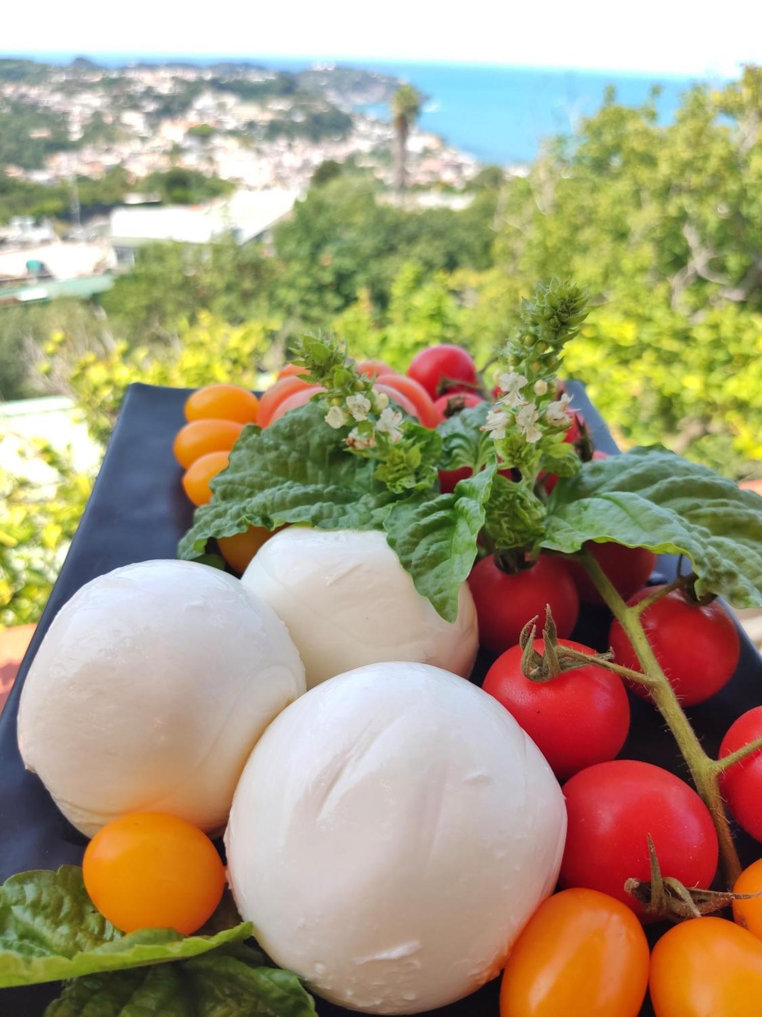 Casamicciola Terme Hotel Ape Regina מראה חיצוני תמונה