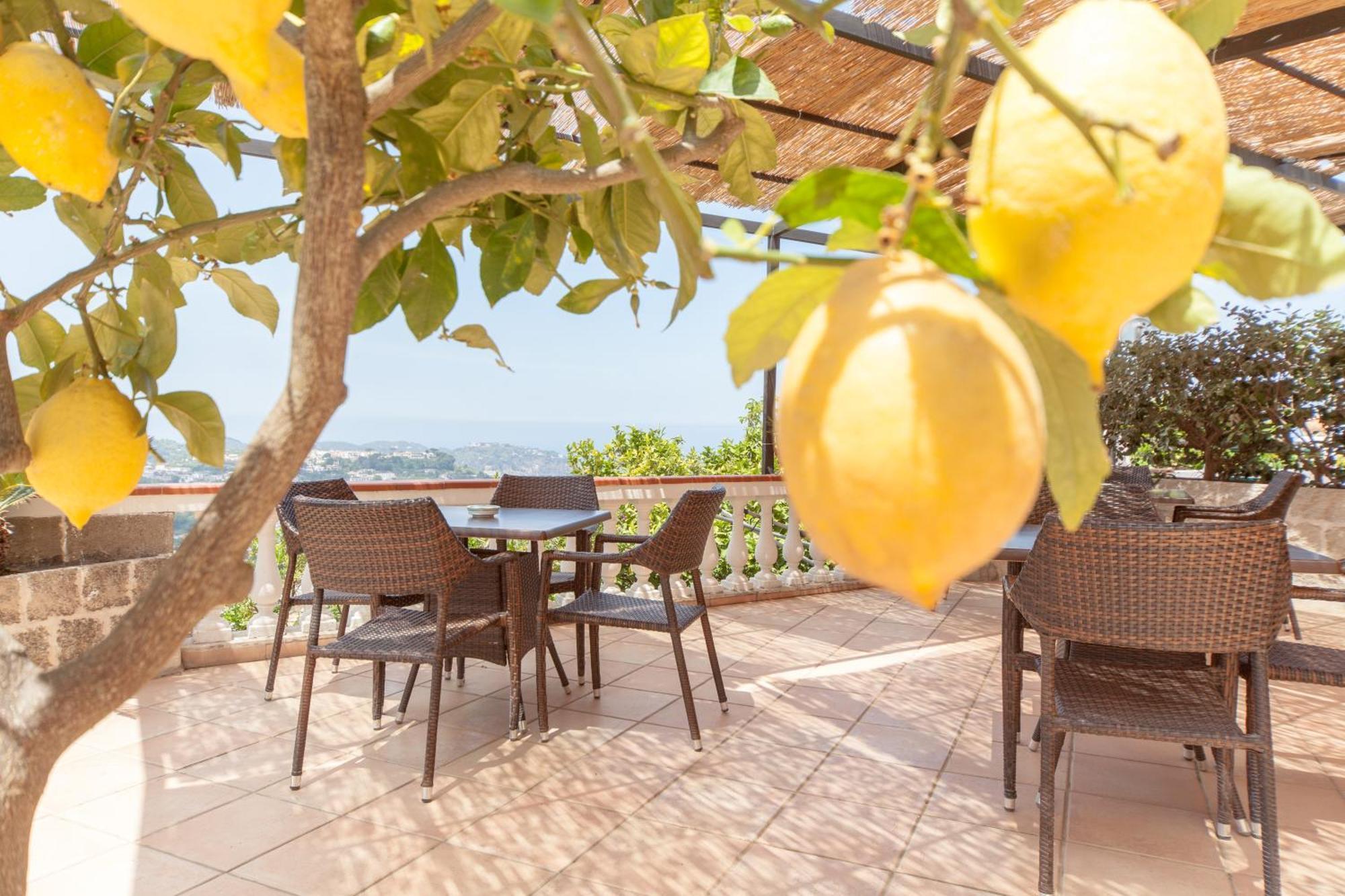 Casamicciola Terme Hotel Ape Regina מראה חיצוני תמונה